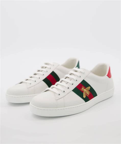 gucci ace sneaker herren